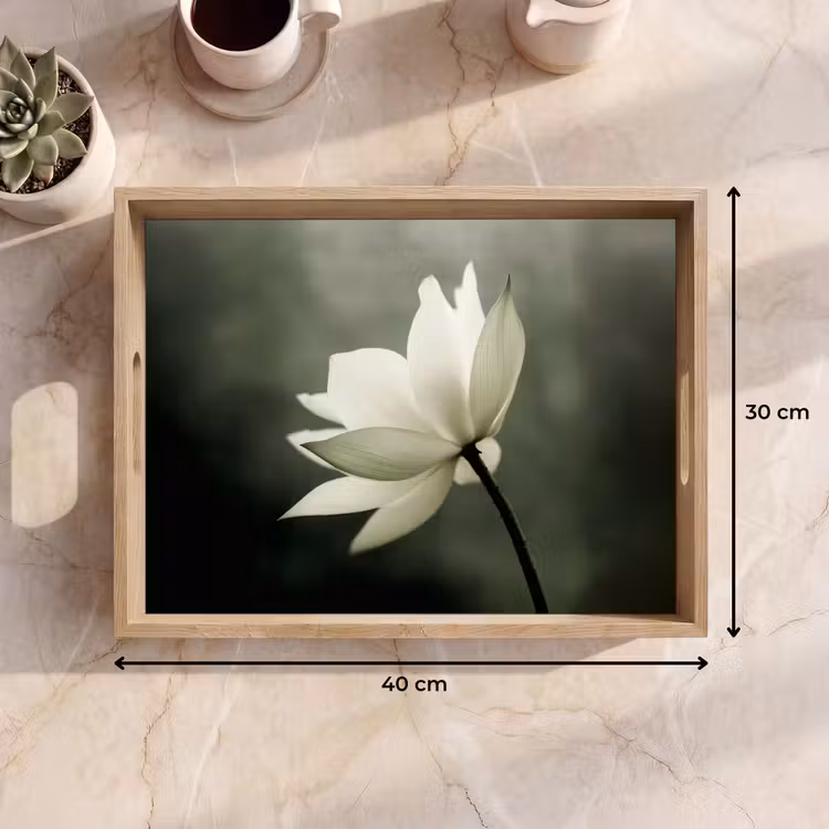 Bandeja - Blanco - Loto - Oscuro - Flor — 7