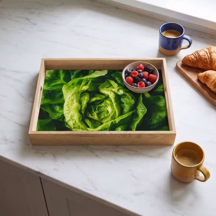 Bandeja - Verduras - Lechuga - Verde — 3