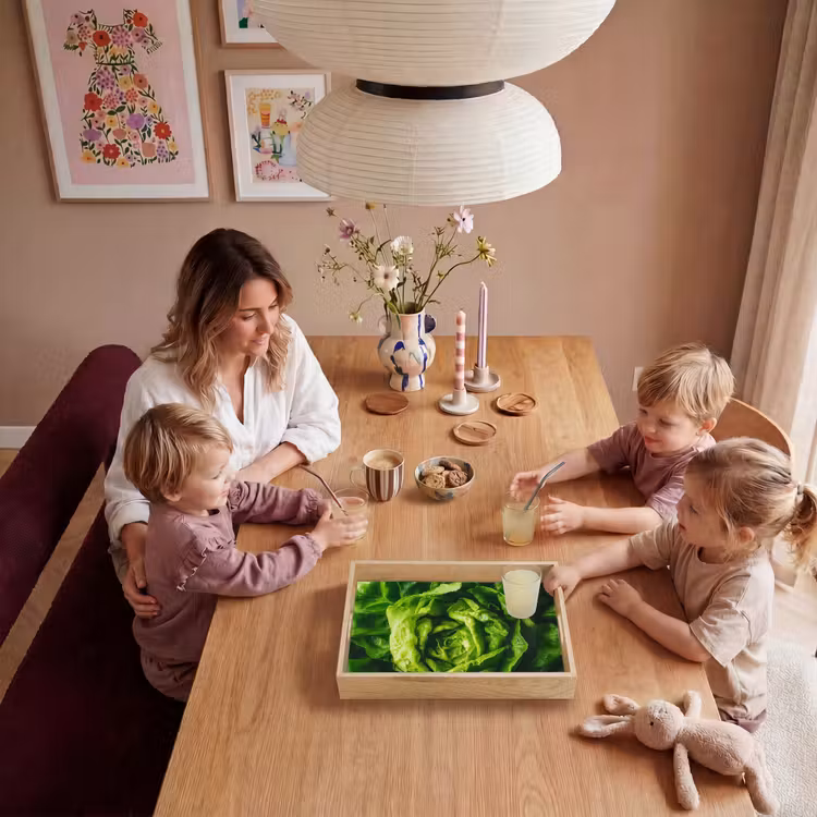 Bandeja - Verduras - Lechuga - Verde — 5