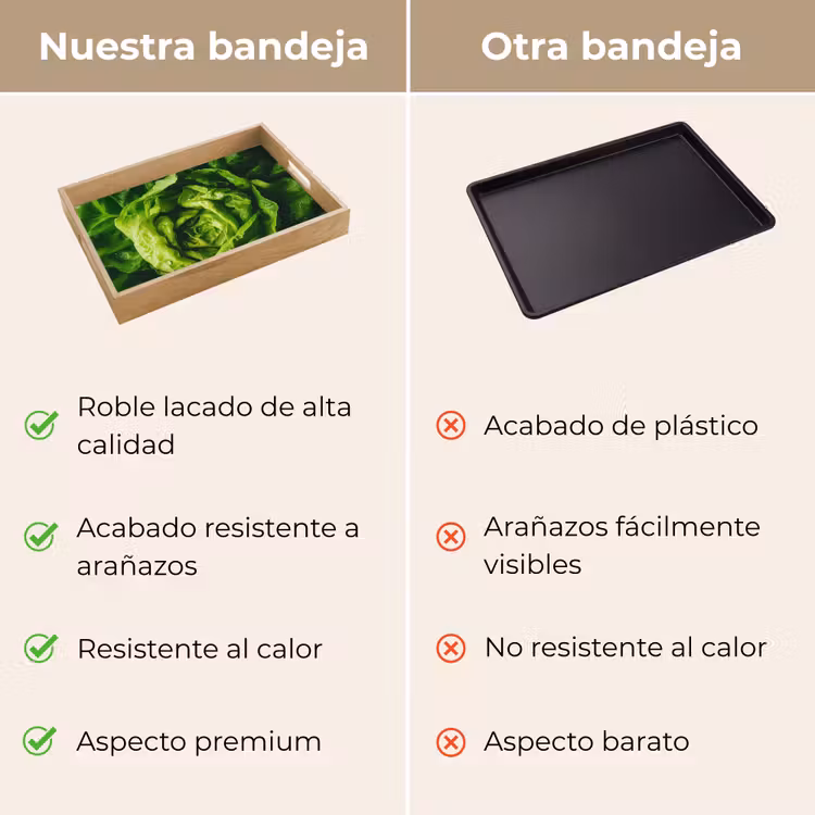 Bandeja - Verduras - Lechuga - Verde — 9