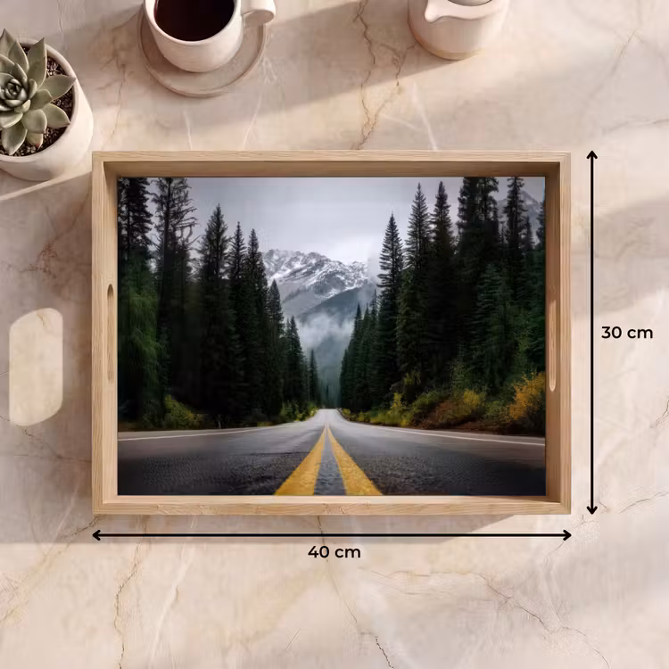 Bandeja - Bosque de abetos - Carretera - Montañas - Nieve — 7