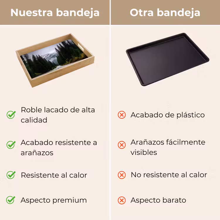 Bandeja - Bosque de abetos - Carretera - Montañas - Nieve — 9