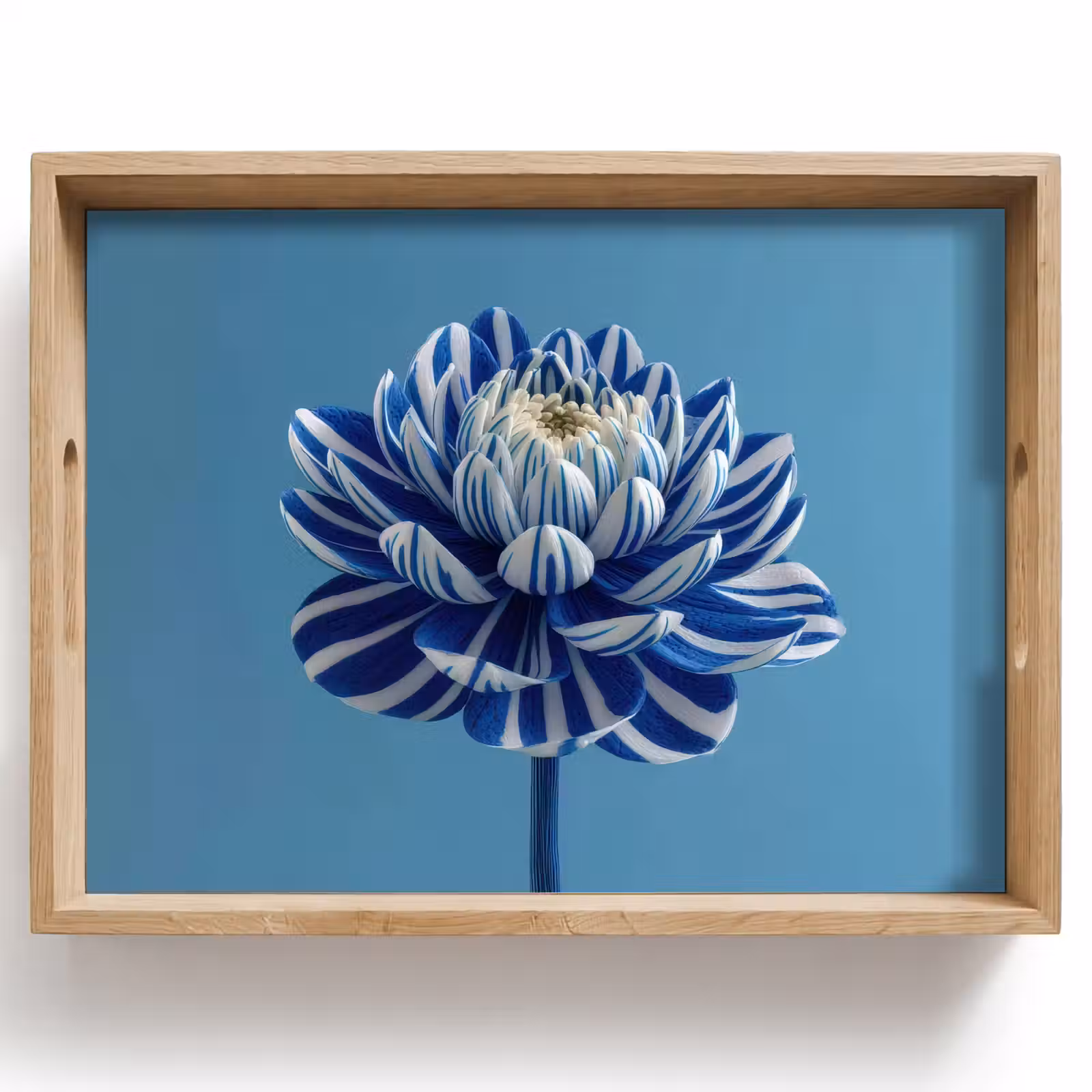 Bandeja - Flor - Azul - Pétalos - Rayas — 1