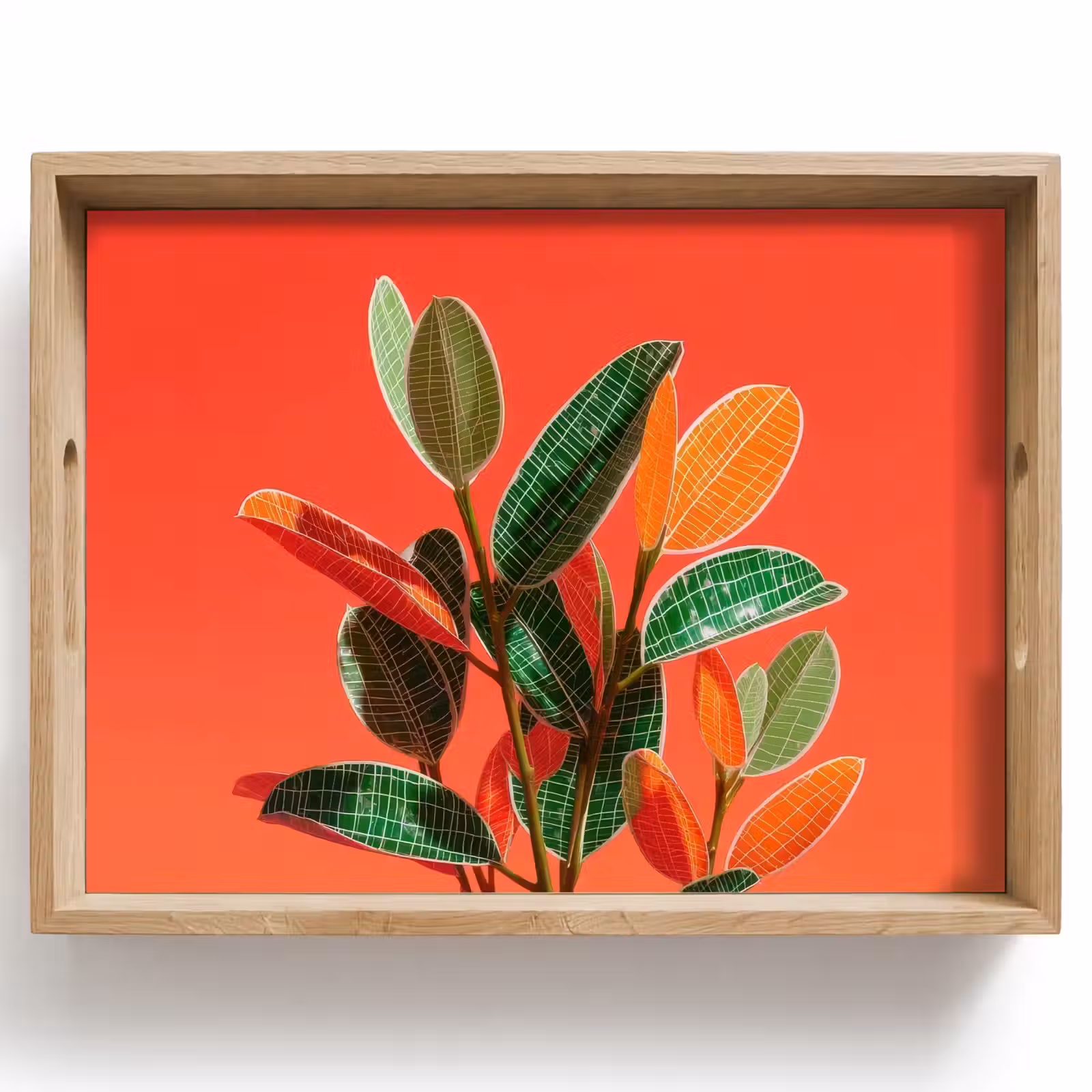 Bandeja - Hojas - Vetas - Naranja - Textura — 1