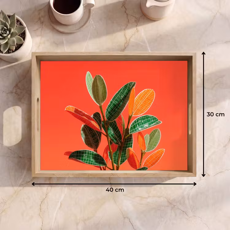 Bandeja - Hojas - Vetas - Naranja - Textura — 7