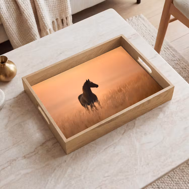 Bandeja - Caballo - Césped - Puesta de sol — 2
