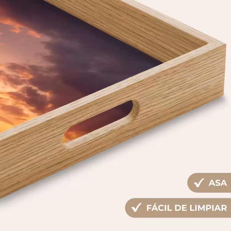Bandeja - Elefantes - Pradera - Puesta de sol — 8