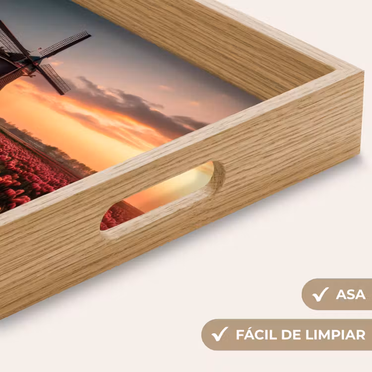 Bandeja - Molino - Atardecer - Tulipanes - Rojo — 8