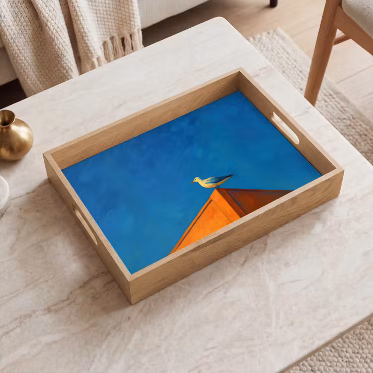 Bandeja - Gaviota - Edificio - Cielo - Pintado — 2