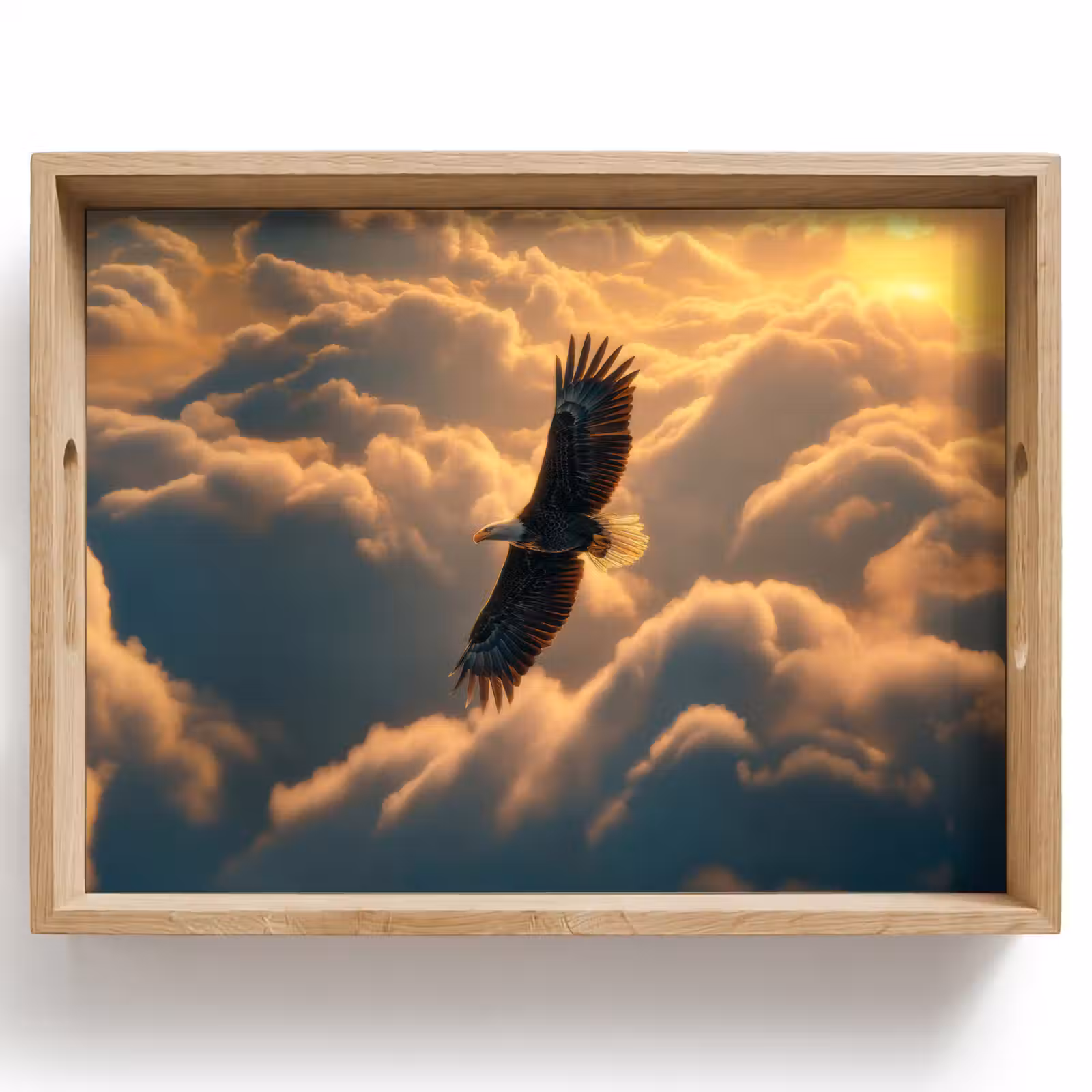 Bandeja - Águila - Nubes - Sol — 1
