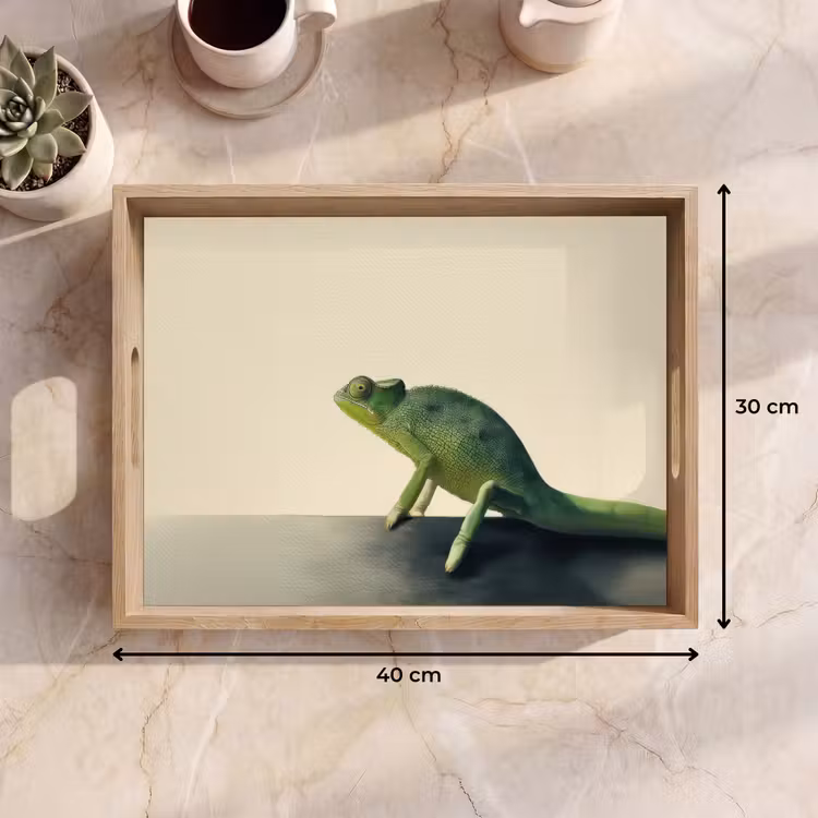 Bandeja - Camaleón - Verde - Minimalista — 7