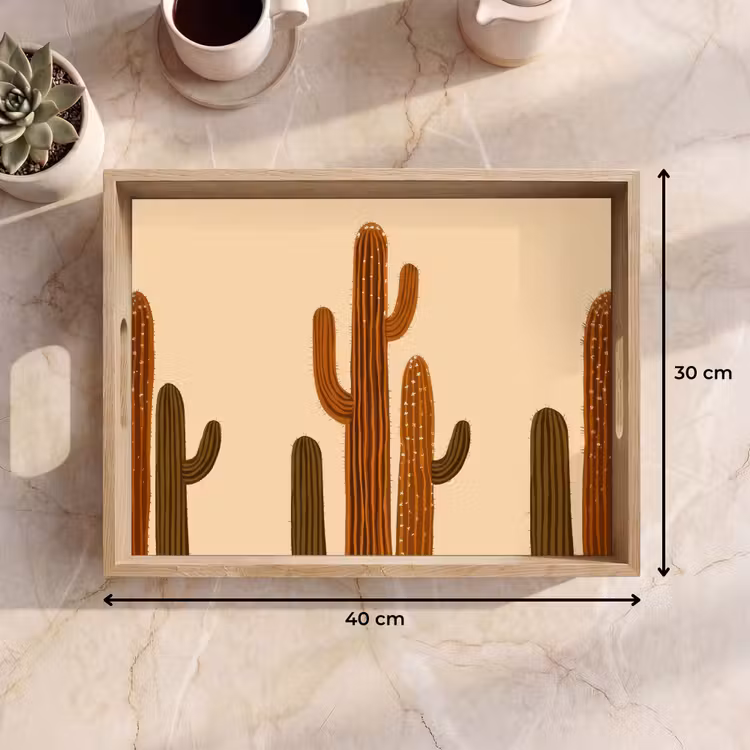 Bandeja - Cactus - Desierto - Arena - Marrón — 7