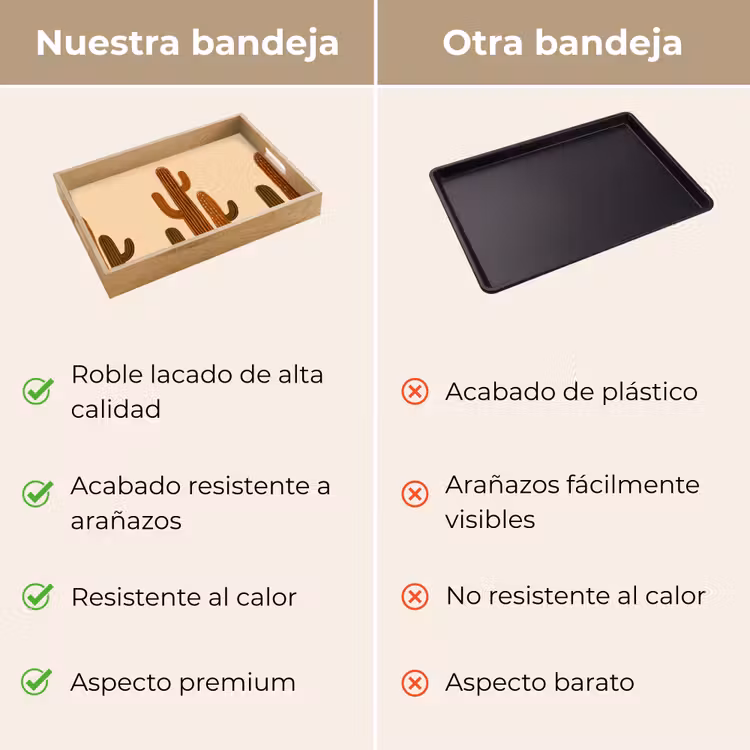 Bandeja - Cactus - Desierto - Arena - Marrón — 9
