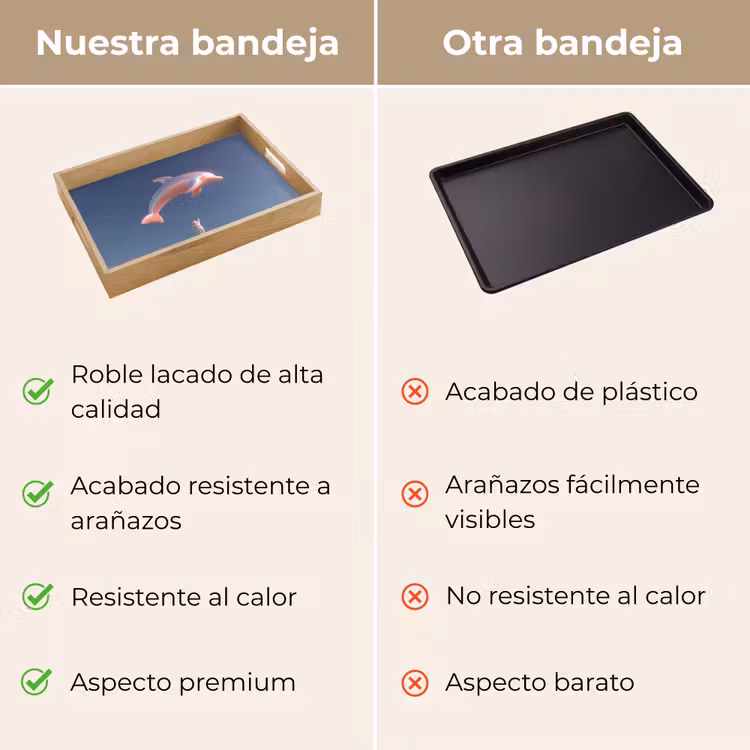 Bandeja - Delfín - Rosa - Astronauta — 9