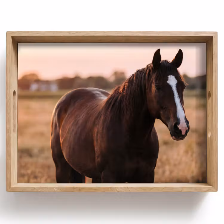 Bandeja - Caballo - Atardecer - Marrón — 1