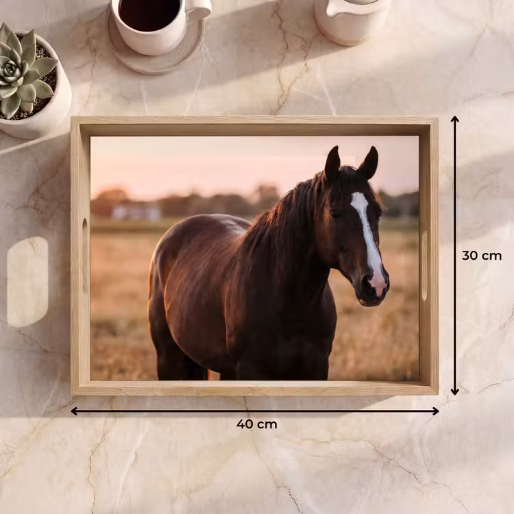 Bandeja - Caballo - Atardecer - Marrón — 7