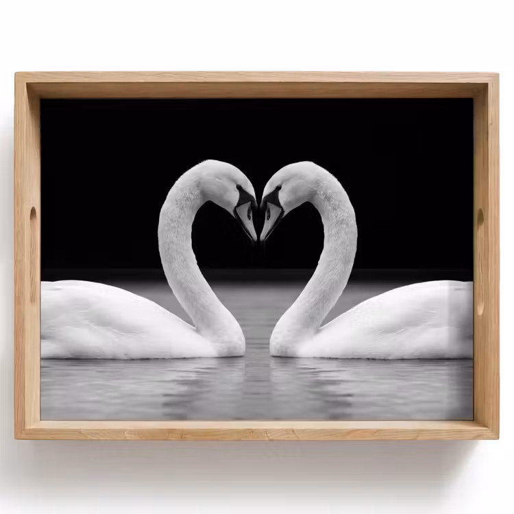 Bandeja - Cisnes - Corazón - Negro - Blanco — 1