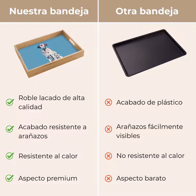 Bandeja - Dalmatian - Gafas de sol - Azul — 9