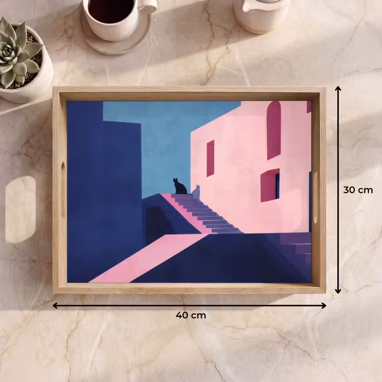 Bandeja - Gato - Escaleras - Edificios - Contrastes de sombras — 7