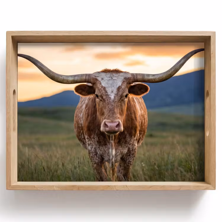 Bandeja - Longhorn - Paisaje - Puesta de sol — 1
