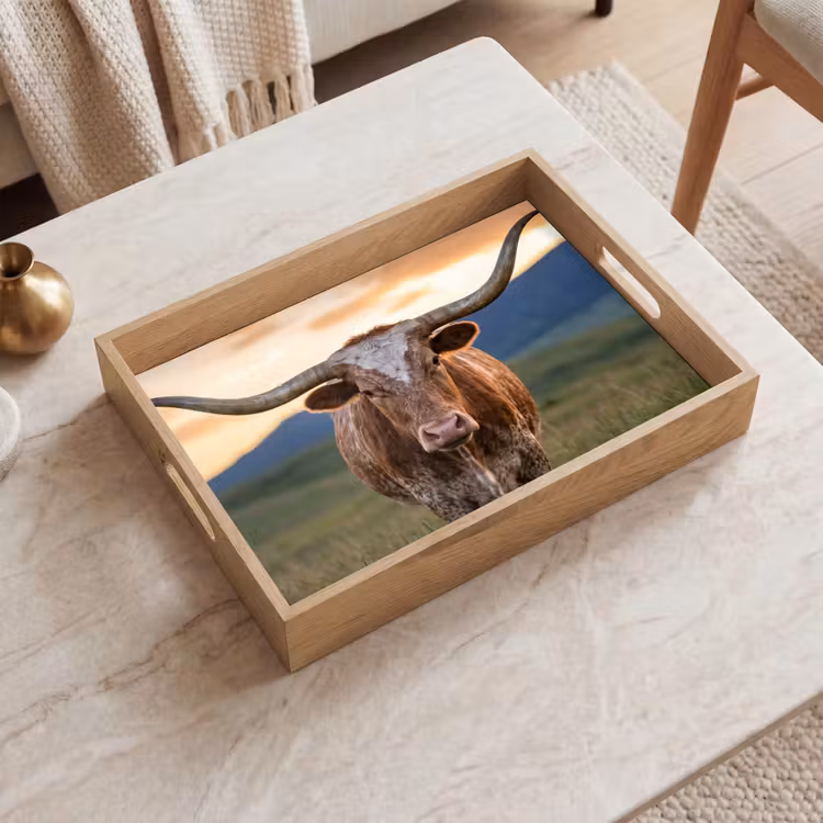 Bandeja - Longhorn - Paisaje - Puesta de sol — 2