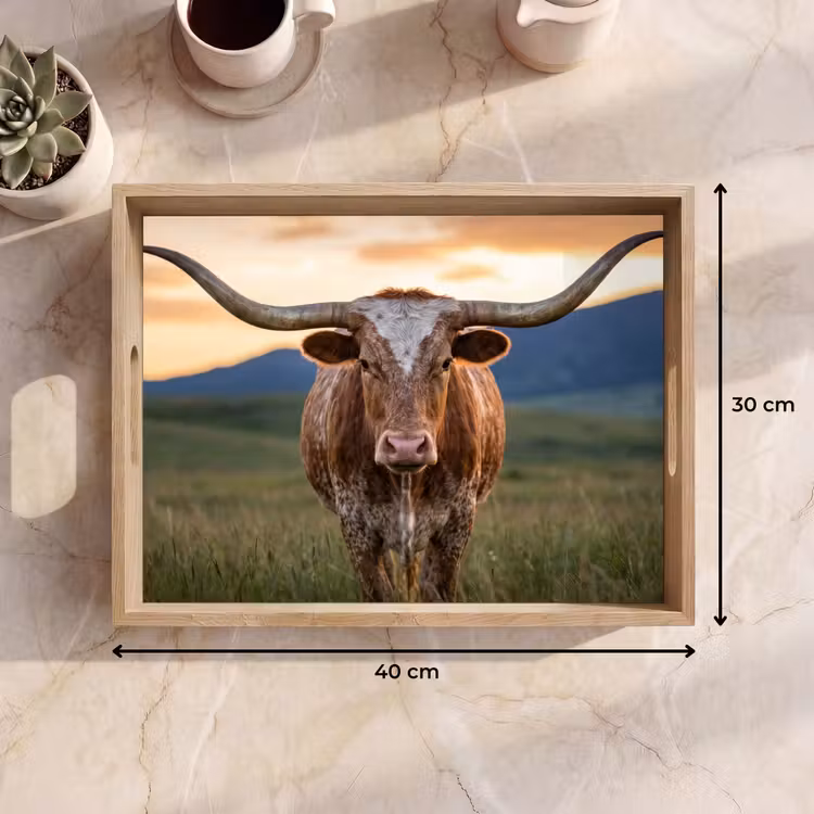 Bandeja - Longhorn - Paisaje - Puesta de sol — 7