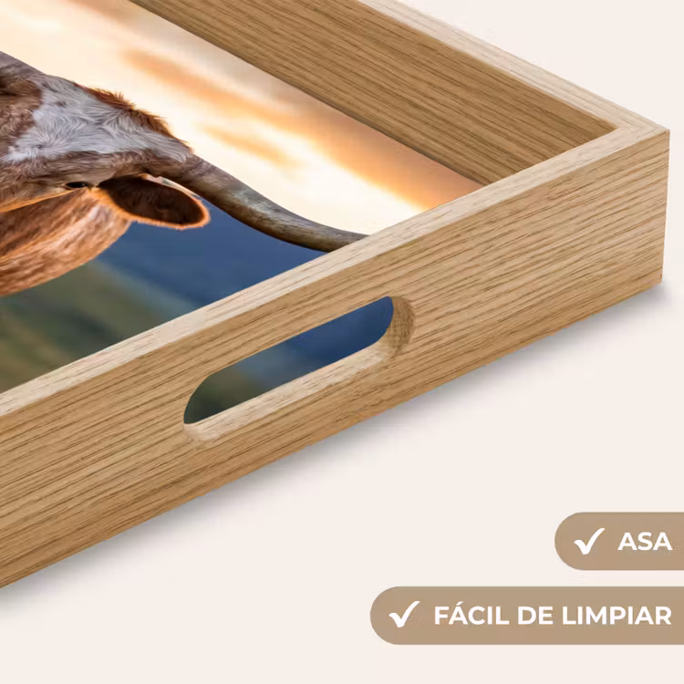 Bandeja - Longhorn - Paisaje - Puesta de sol — 8
