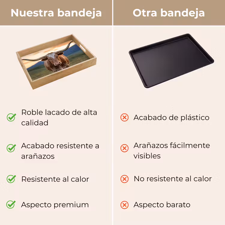 Bandeja - Longhorn - Paisaje - Puesta de sol — 9