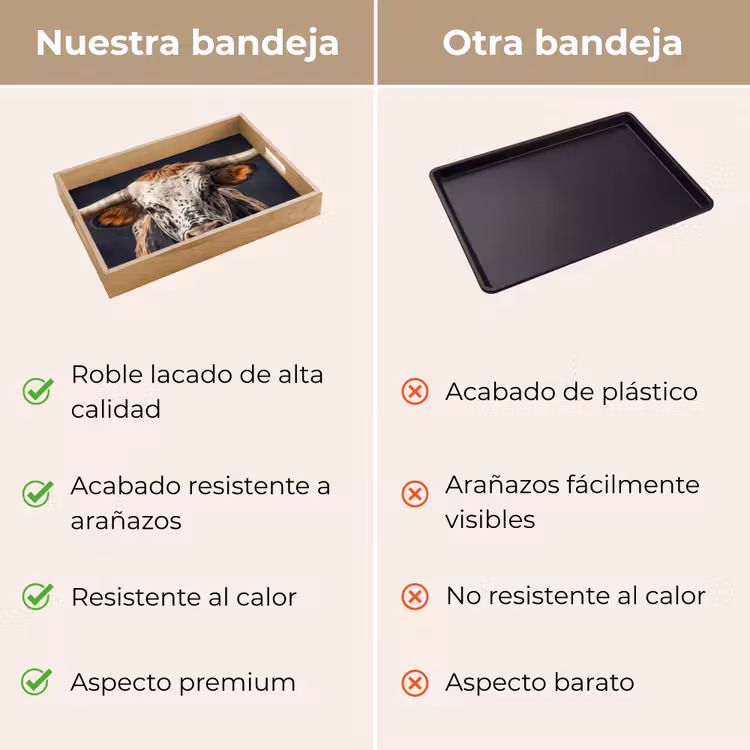 Bandeja - Tauro - Colorido - Cuernos — 9