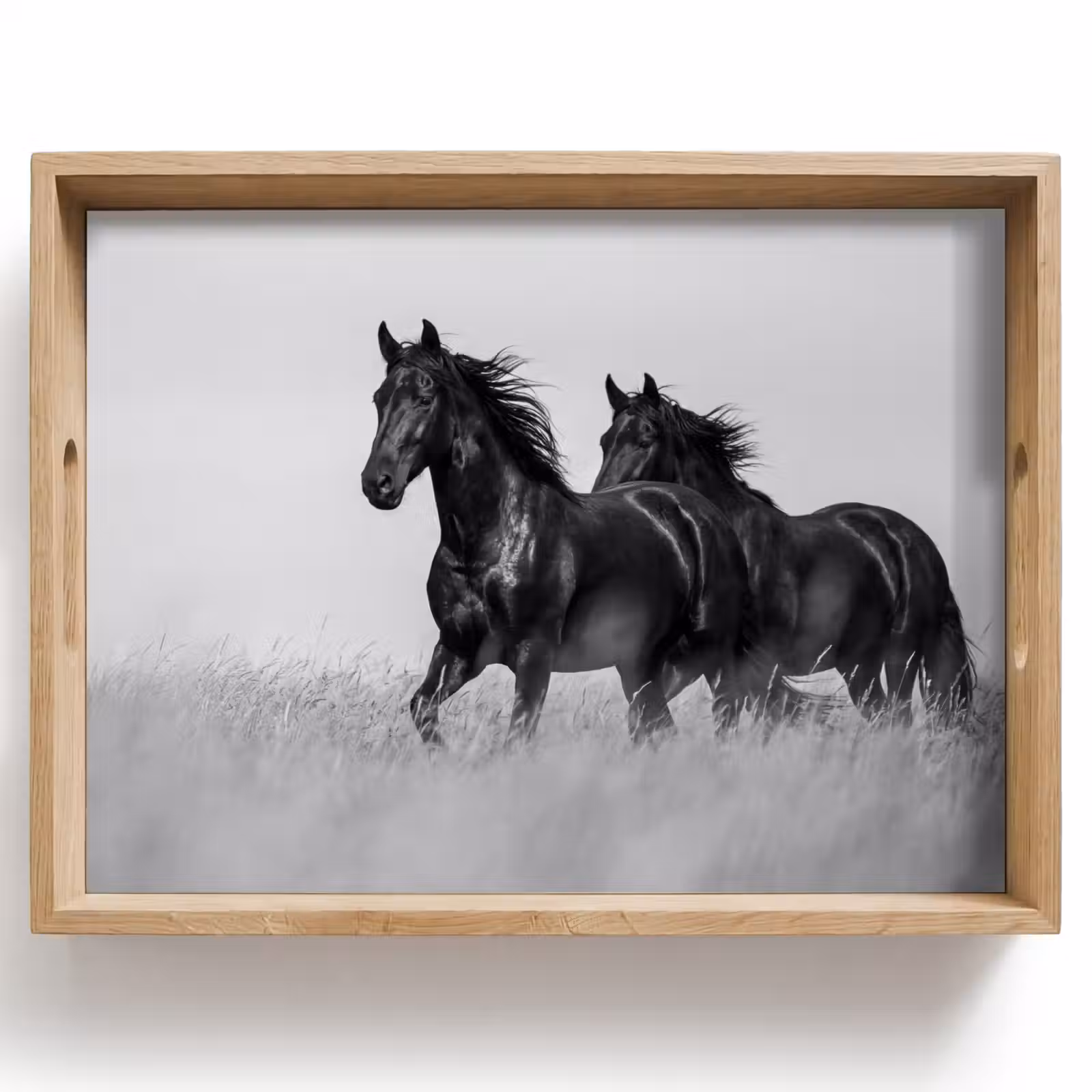 Bandeja - Caballos - Hierba - Negro - Blanco — 1