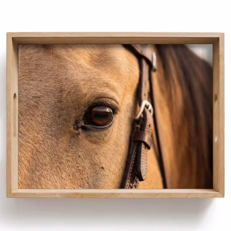 Bandeja - Caballo - Ojo - Marrón — 1