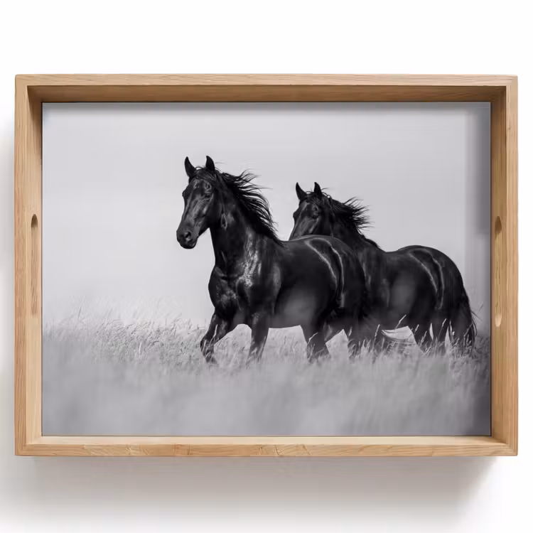 Bandeja - Caballos - Hierba - Negro - Blanco — 1