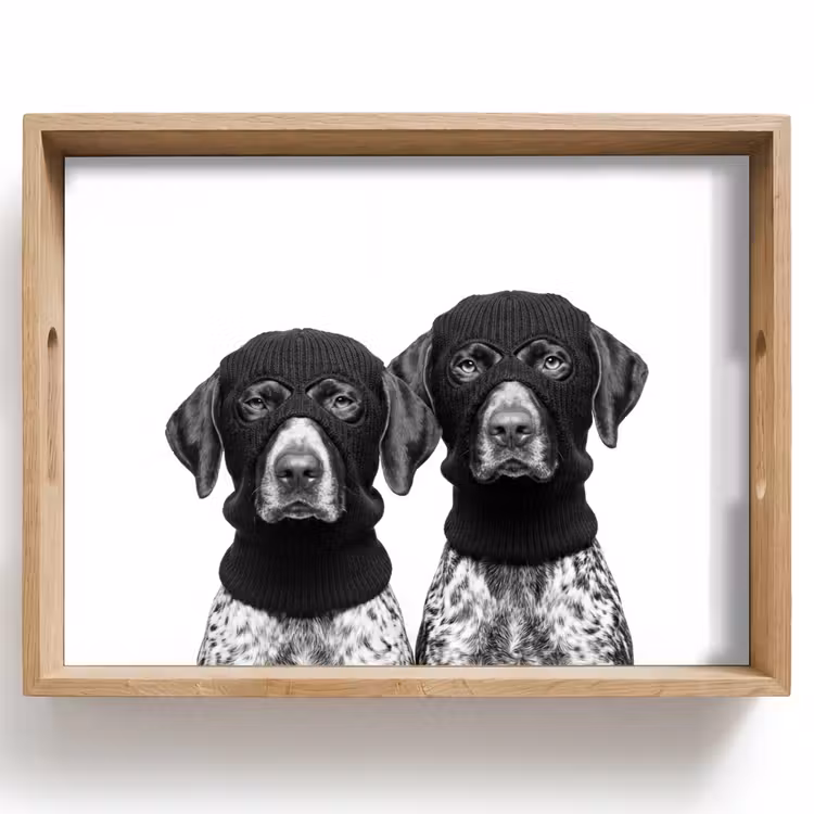 Bandeja - Perros - pasamontañas - Negro - blanco — 1