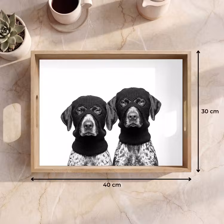 Bandeja - Perros - pasamontañas - Negro - blanco — 7