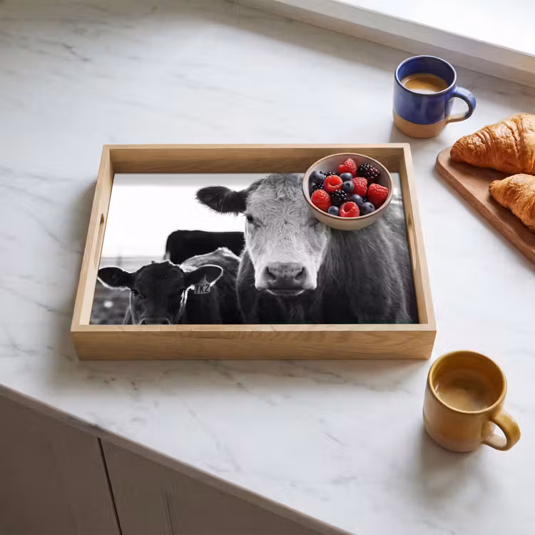 Bandeja - Vacas - Blanco y negro — 3
