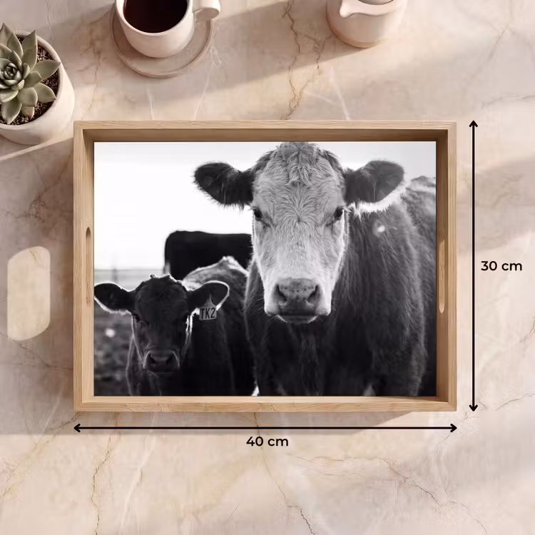 Bandeja - Vacas - Blanco y negro — 7