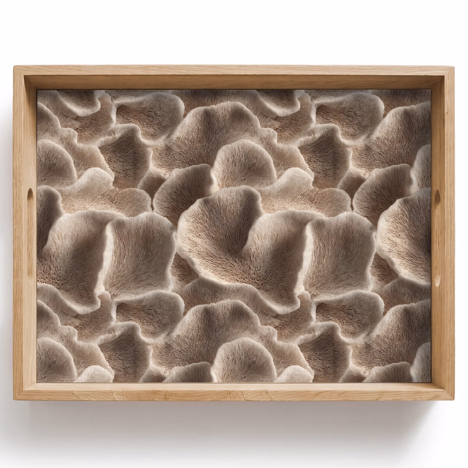 Bandeja - Forma de abanico - Beige - Textura de fibra — 1