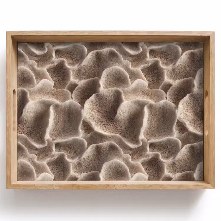 Bandeja - Forma de abanico - Beige - Textura de fibra — 1