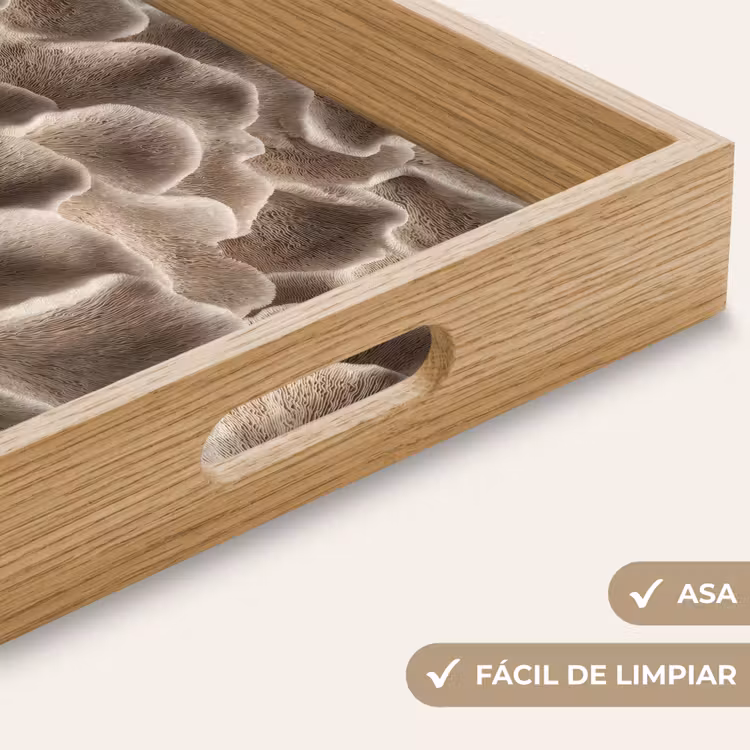 Bandeja - Forma de abanico - Beige - Textura de fibra — 8