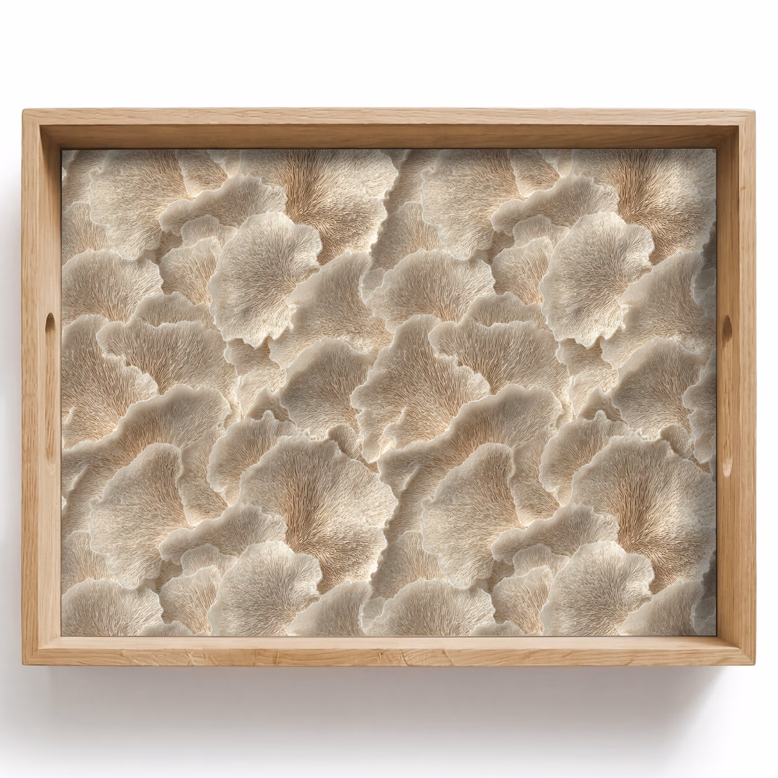 Bandeja - Texturas abanico - Beige - Textura fibra — 1