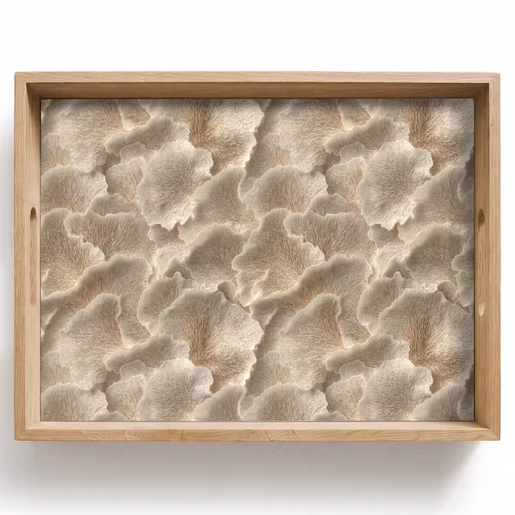 Bandeja - Texturas abanico - Beige - Textura fibra — 1