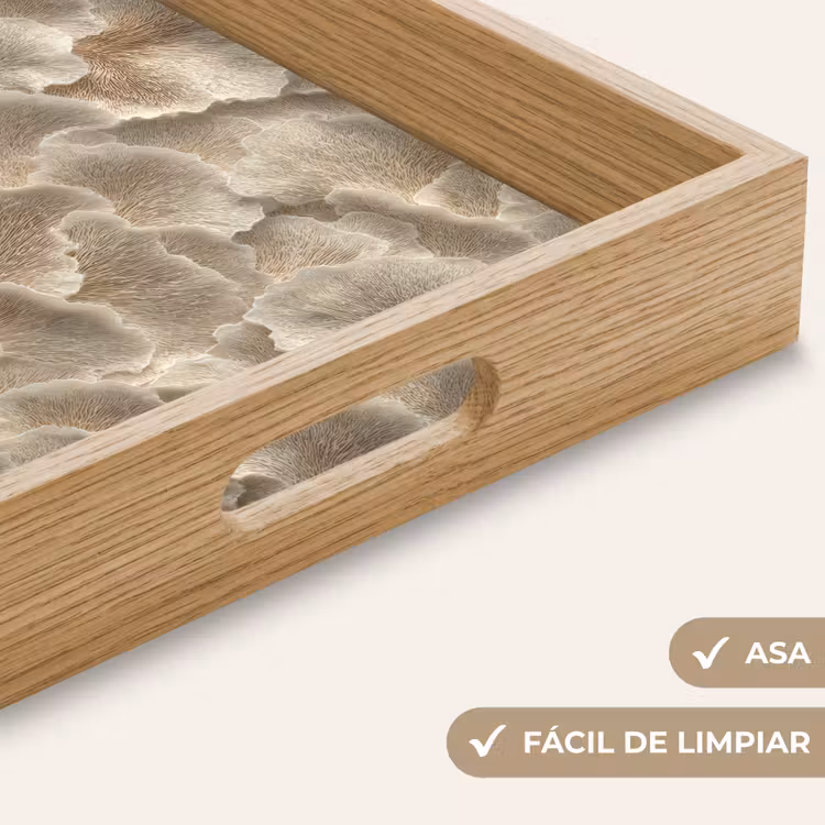 Bandeja - Texturas abanico - Beige - Textura fibra — 8