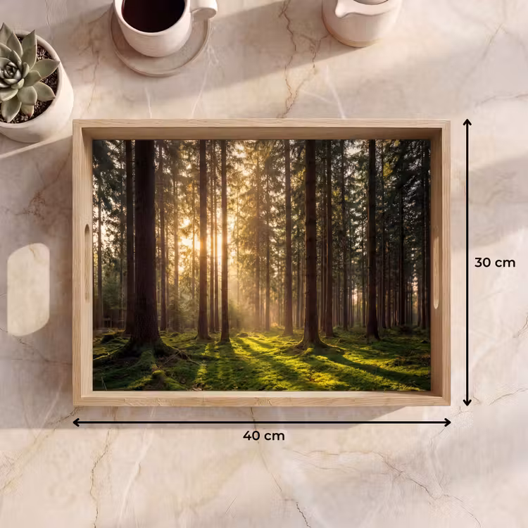 Bandeja - Bosque - Hierba - Luz solar — 7