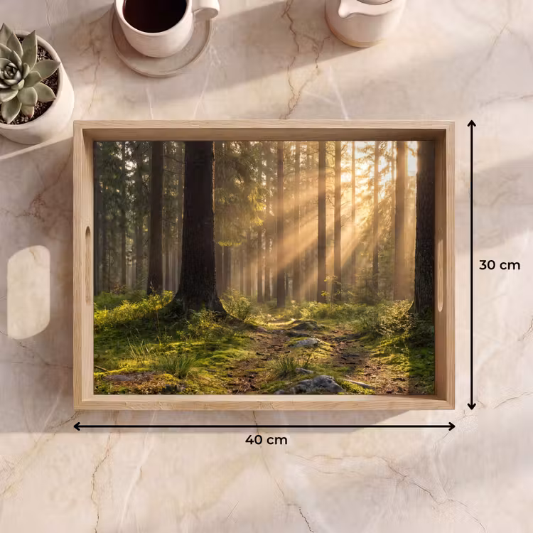 Bandeja - Bosque - Luz solar - Hierba — 7