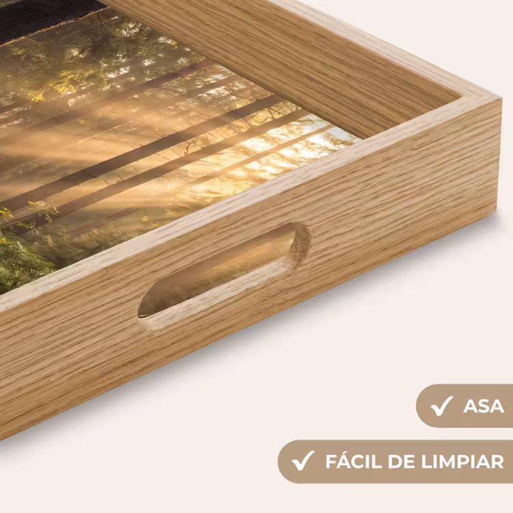 Bandeja - Bosque - Luz solar - Hierba — 8