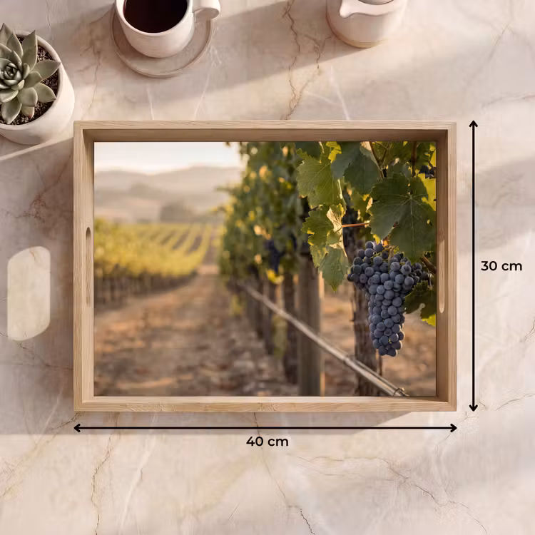 Bandeja - Uvas - Viñedo - Luz solar — 7