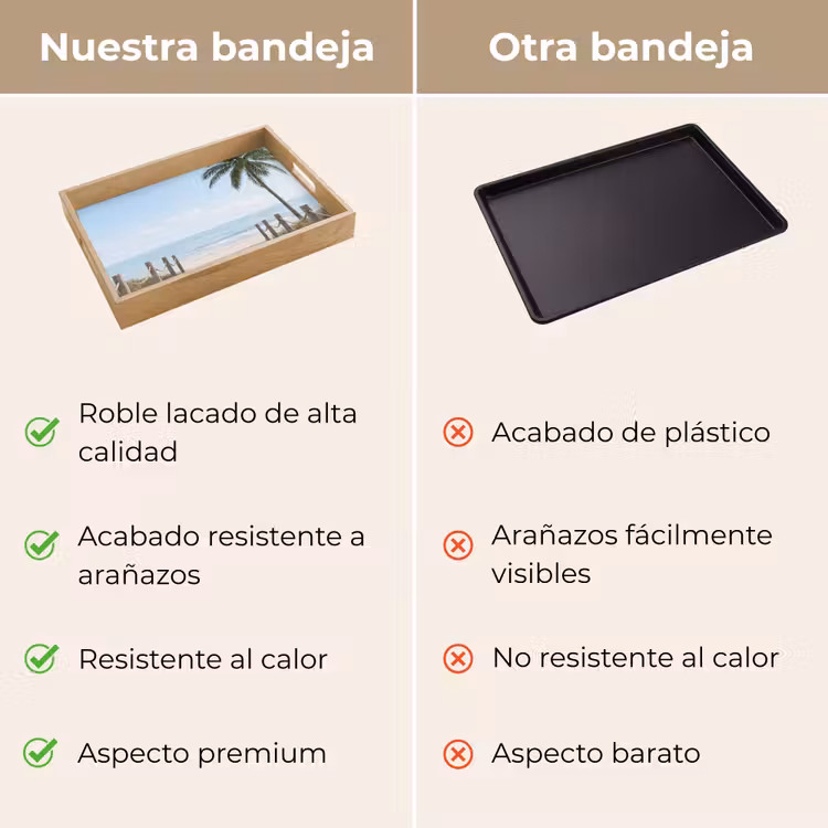 Bandeja - Palmeras - Sendero - Horizonte — 9