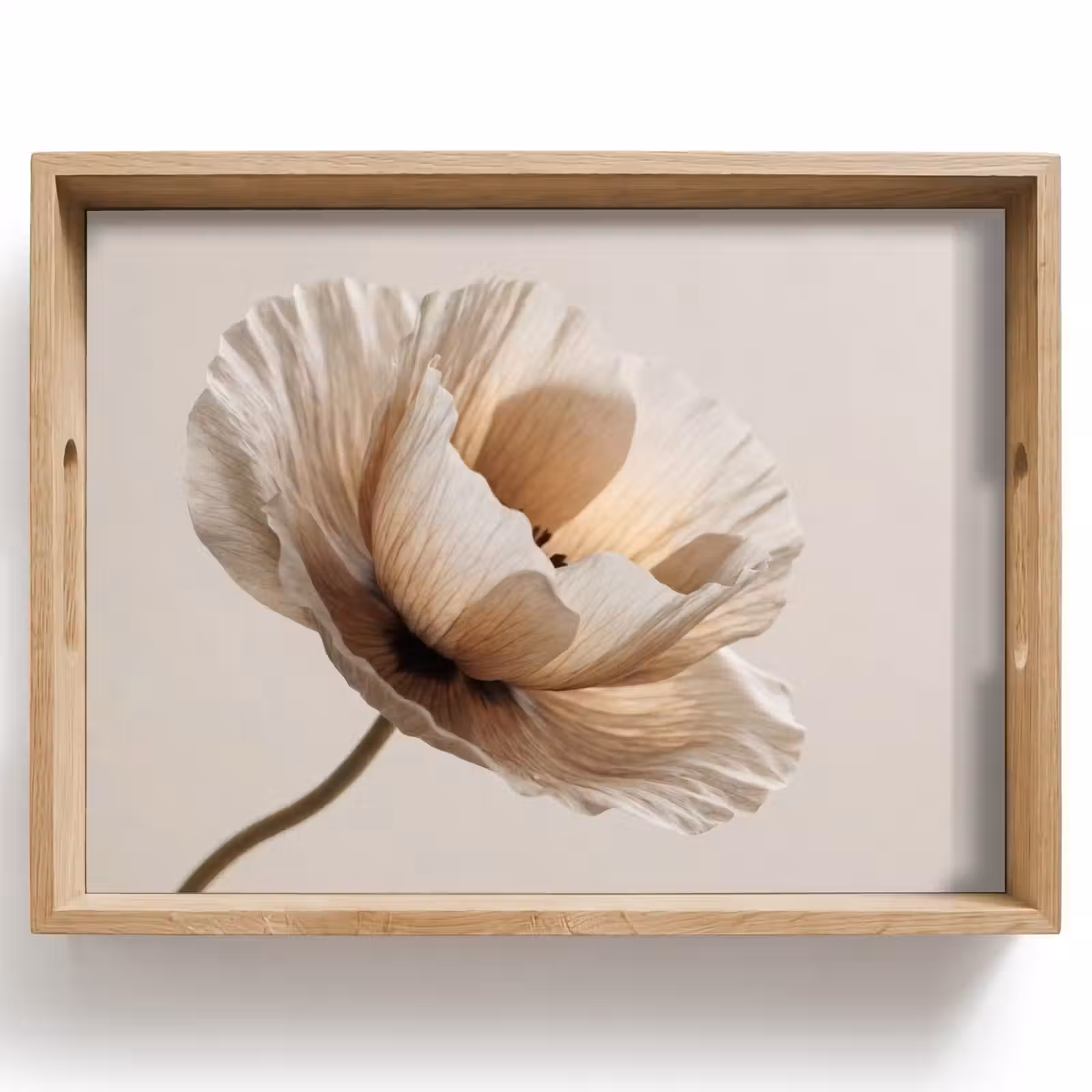 Bandeja - Flor - Beige - Crema — 1