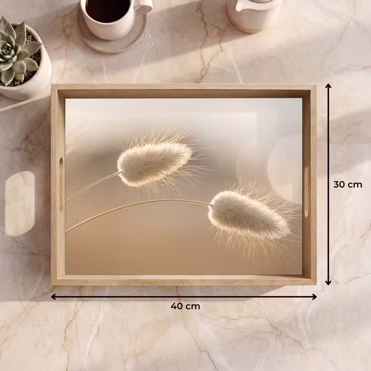 Bandeja - Haze tail grass - Pelos del grano - Luz solar — 7