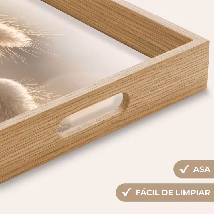 Bandeja - Haze tail grass - Pelos del grano - Luz solar — 8